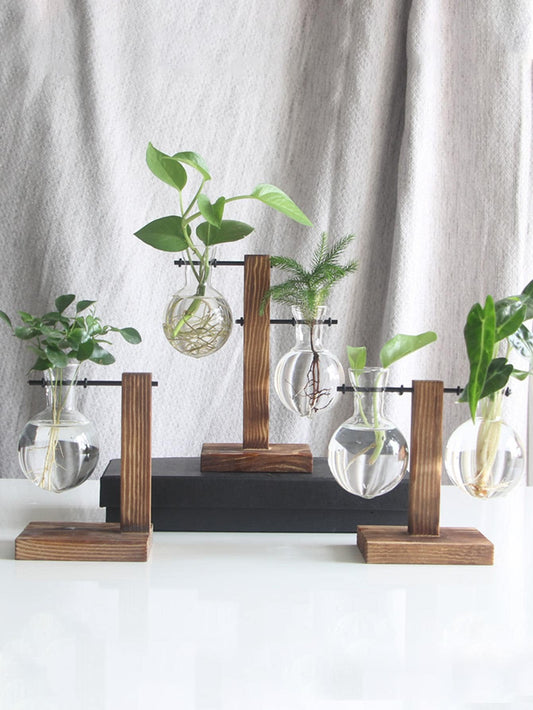 Vasi per piante idroponiche da terrario,