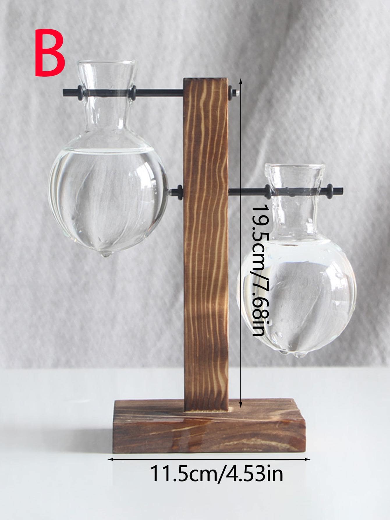 Vasi per piante idroponiche da terrario,